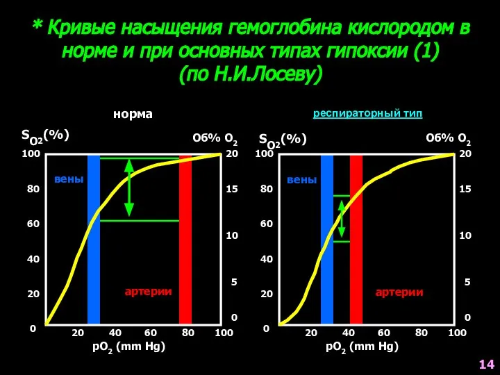 * Кривые насыщения гемоглобина кислородом в норме и при основных типах