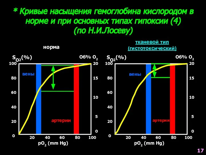 * Кривые насыщения гемоглобина кислородом в норме и при основных типах