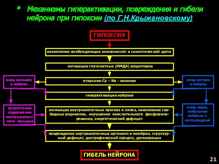 * Механизмы гиперактивации, повреждения и гибели нейрона при гипоксии (по Г.Н.Крыжановскому)