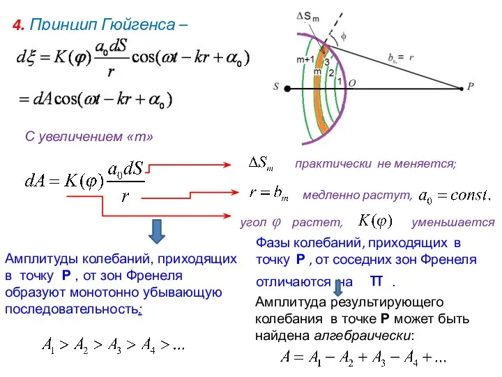 4. Принцип Гюйгенса – Френеля: С увеличением «т» Амплитуды колебаний, приходящих