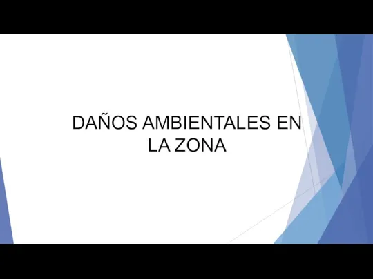 DAÑOS AMBIENTALES EN LA ZONA