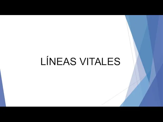 LÍNEAS VITALES