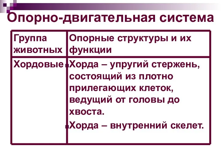 Опорно-двигательная система