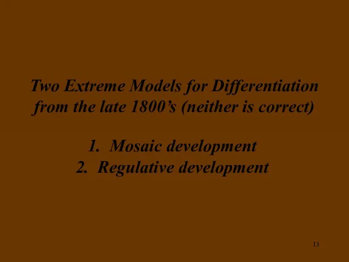 Two Extreme Models for Differentiation from the late 1800’s (neither is correct) Mosaic development Regulative development