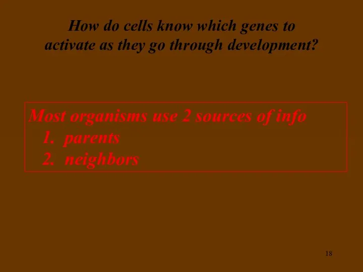 How do cells know which genes to activate as they go