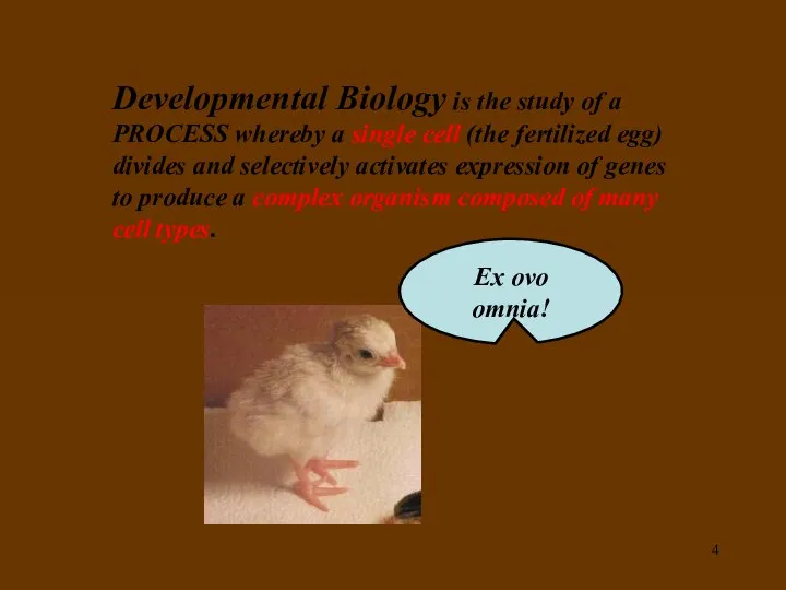 Developmental Biology is the study of a PROCESS whereby a single
