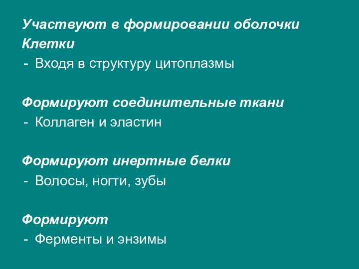 Участвуют в формировании оболочки Клетки Входя в структуру цитоплазмы Формируют соединительные