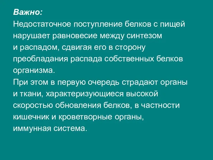 Важно: Недостаточное поступление белков с пищей нарушает равновесие между синтезом и