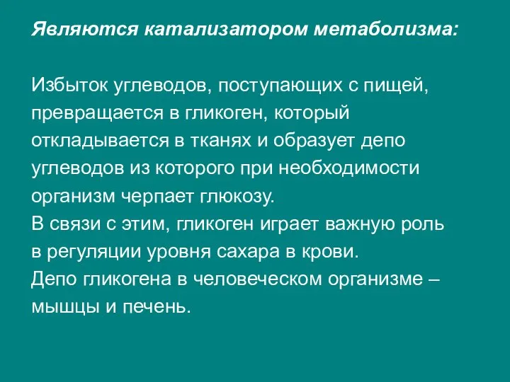 Являются катализатором метаболизма: Избыток углеводов, поступающих с пищей, превращается в гликоген,