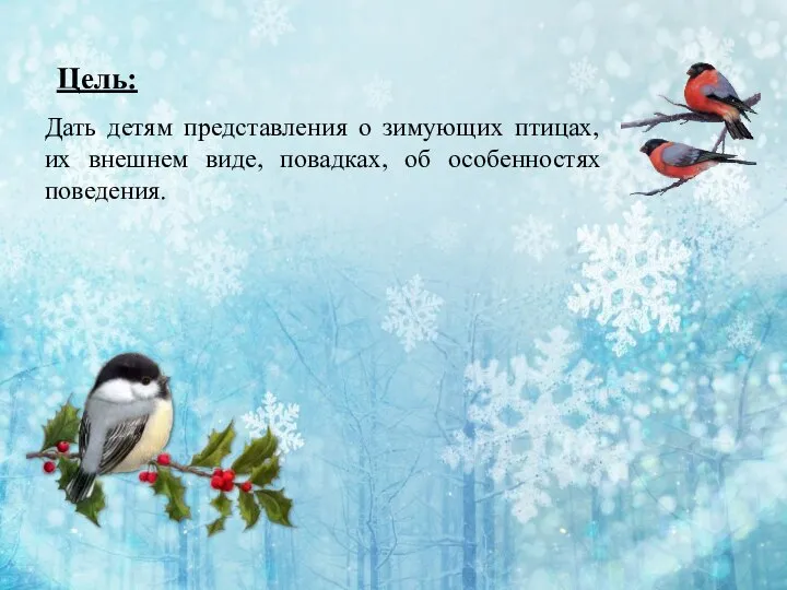 Цель: Дать детям представления о зимующих птицах, их внешнем виде, повадках, об особенностях поведения.