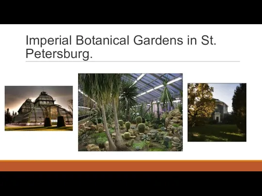 Imperial Botanical Gardens in St. Petersburg.