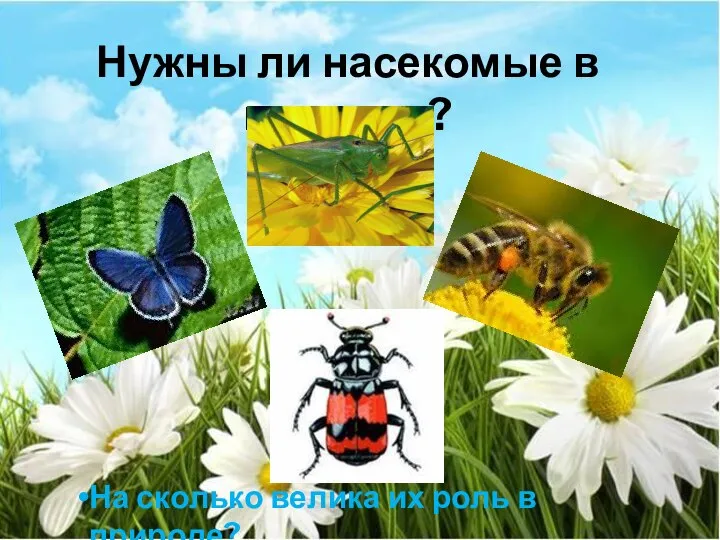 Нужны ли насекомые в природе? На сколько велика их роль в природе?