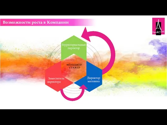 Возможности роста в Компании МЕНЕДЖЕР-СТАЖЕР Заместитель директора Территориальный директор Директор магазина