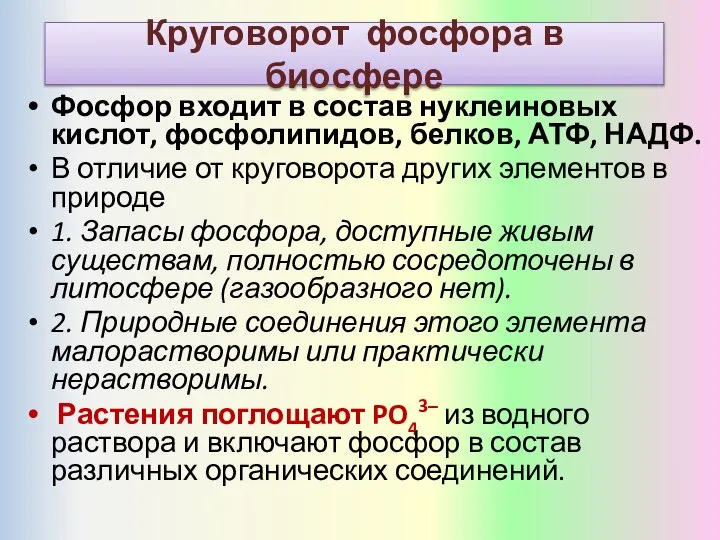 Фосфор входит в состав нуклеиновых кислот, фосфолипидов, белков, АТФ, НАДФ. В