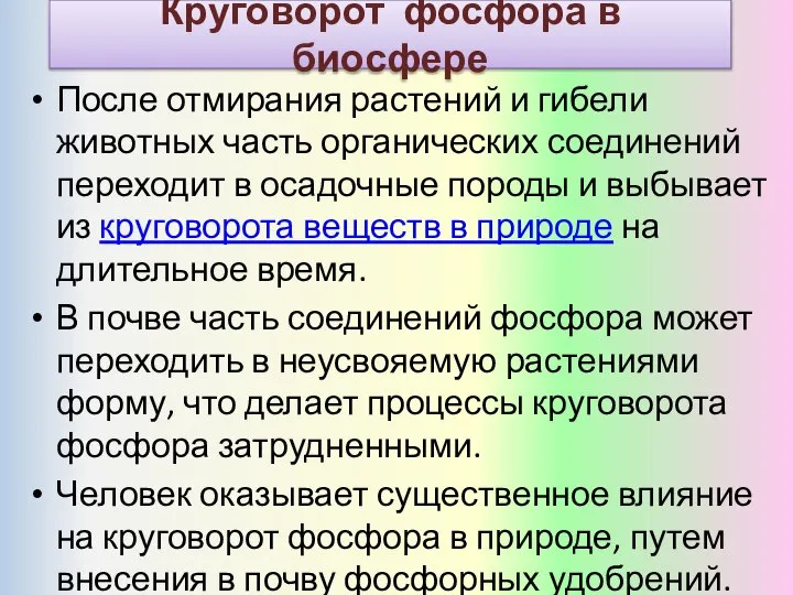 После отмирания растений и гибели животных часть органических соединений переходит в