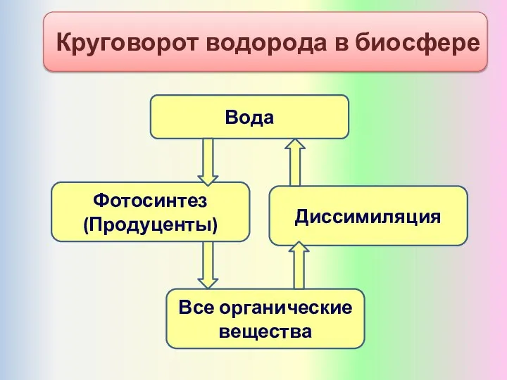 Вода Фотосинтез (Продуценты) Все органические вещества Диссимиляция Круговорот водорода в биосфере