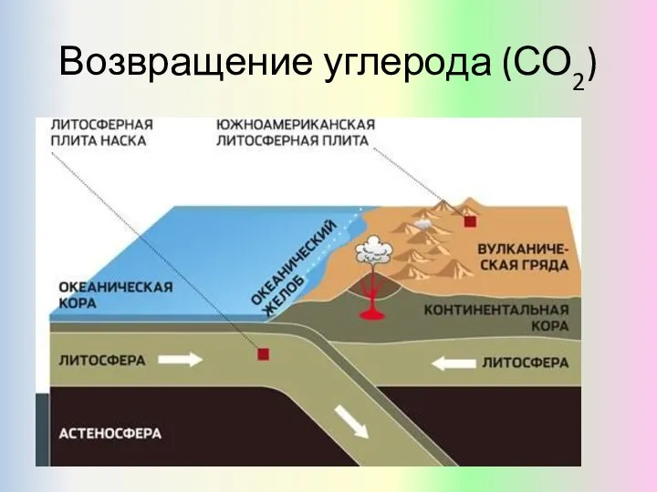 Возвращение углерода (СО2)