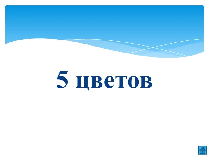 5 цветов