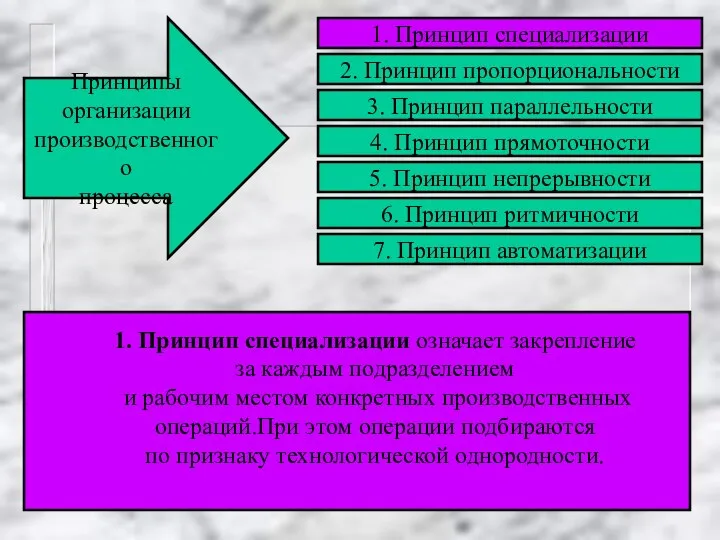 Принципы организации производственного процесса 1. Принцип специализации означает закрепление за каждым