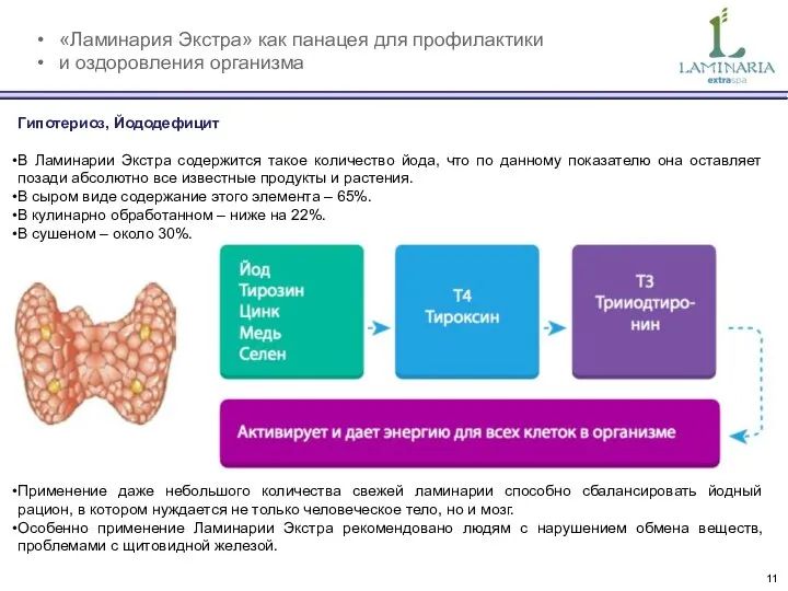 «Ламинария Экстра» как панацея для профилактики и оздоровления организма Гипотериоз, Йододефицит