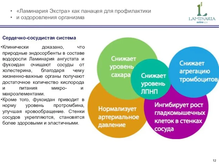 «Ламинария Экстра» как панацея для профилактики и оздоровления организма Сердечно-сосудистая система