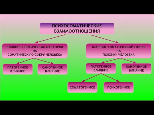 ПСИХОСОМАТИЧЕСКИЕ ВЗАИМООТНОШЕНИЯ ВЛИЯНИЕ ПСИХИЧЕСКИХ ФАКТОРОВ НА СОМАТИЧЕСКУЮ СФЕРУ ЧЕЛОВЕКА ПАТОГЕННОЕ ВЛИЯНИЕ