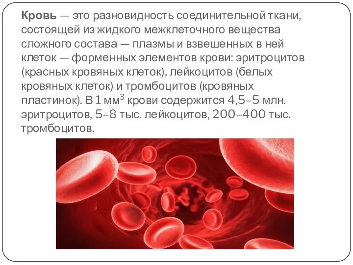 Кровь — это разновидность соединительной ткани, состоящей из жидкого межклеточного вещества