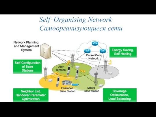 Self‐Organising Network Самоорганизующиеся сети