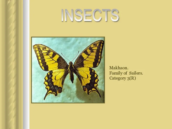 Makhaon. Family of Sailers. Category 3(R) INSECTS