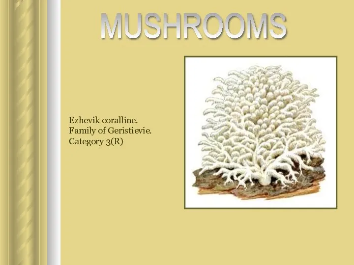 Ezhevik coralline. Family of Geristievie. Category 3(R) MUSHROOMS