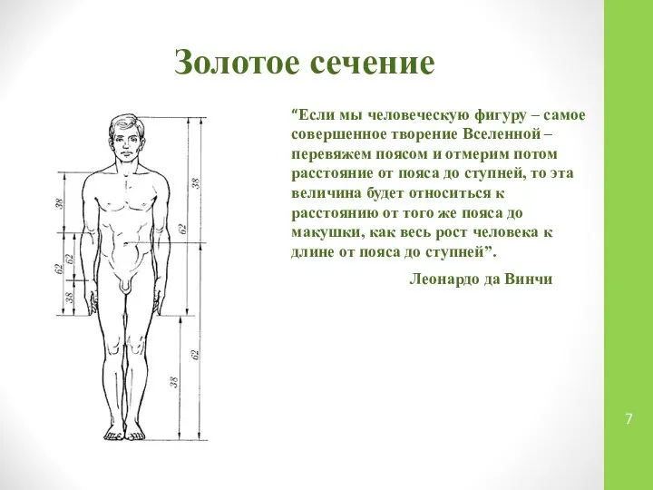 Золотое сечение “Если мы человеческую фигуру – самое совершенное творение Вселенной