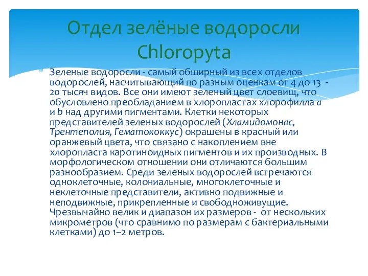 Зеленые водоросли - самый обширный из всех отделов водорослей, насчитывающий по