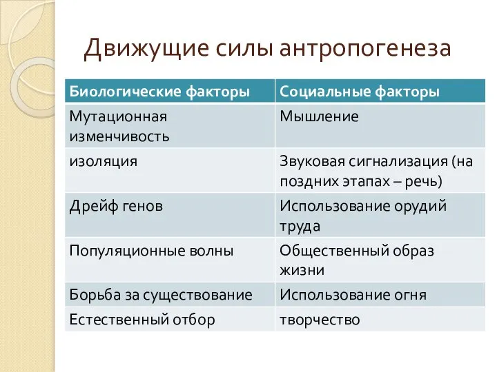 Движущие силы антропогенеза