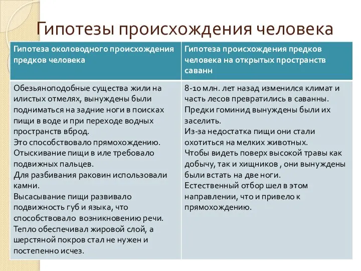 Гипотезы происхождения человека