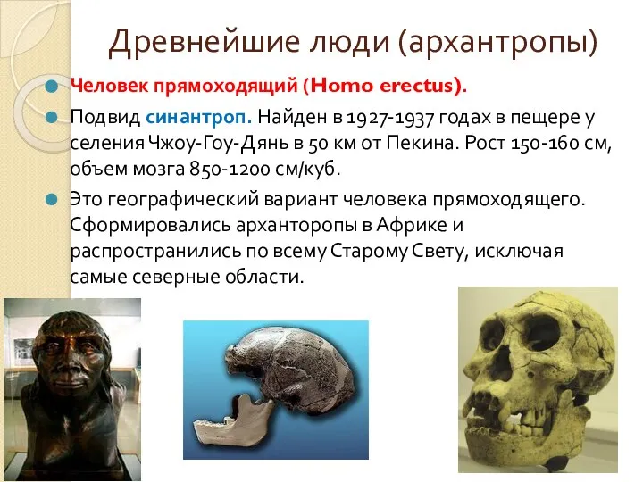 Древнейшие люди (архантропы) Человек прямоходящий (Homo erectus). Подвид синантроп. Найден в