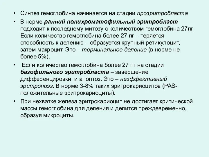 Синтез гемоглобина начинается на стадии проэритробласта В норме ранний полихроматофильный эритробласт