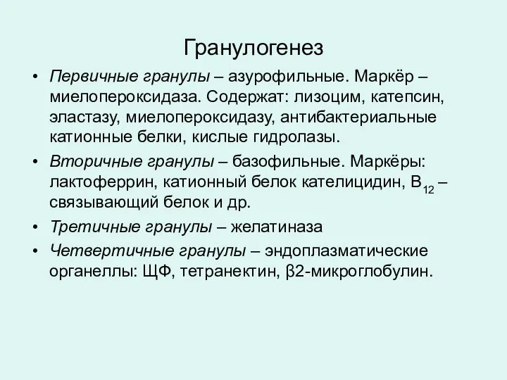 Гранулогенез Первичные гранулы – азурофильные. Маркёр – миелопероксидаза. Содержат: лизоцим, катепсин,