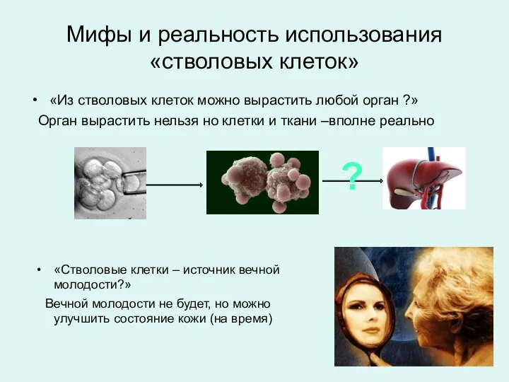 «Из стволовых клеток можно вырастить любой орган ?» Орган вырастить нельзя