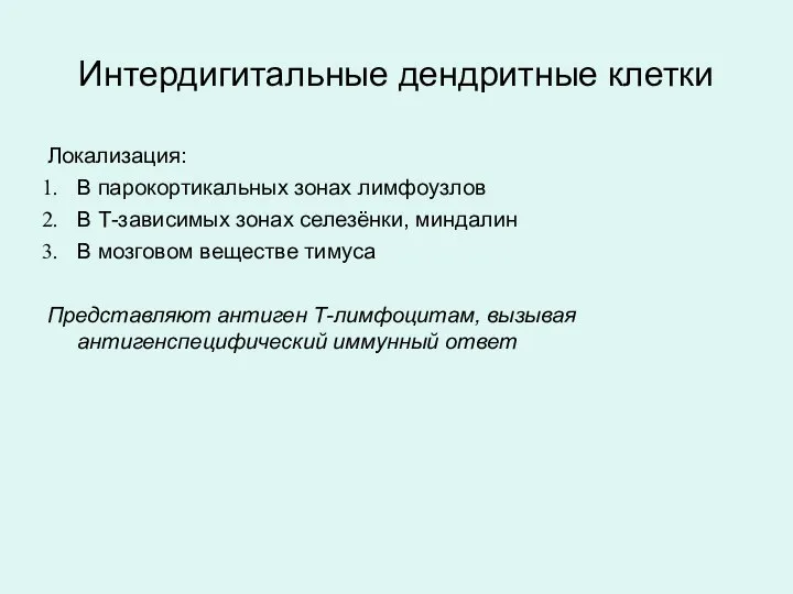 Интердигитальные дендритные клетки Локализация: В парокортикальных зонах лимфоузлов В Т-зависимых зонах