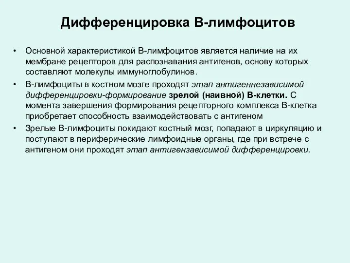 Дифференцировка В-лимфоцитов Основной характеристикой В-лимфоцитов является наличие на их мембране рецепторов