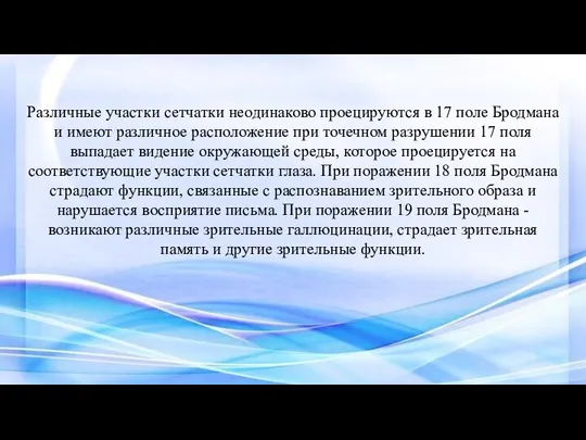 Различные участки сетчатки неодинаково проецируются в 17 поле Бродмана и имеют