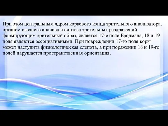 - При этом центральным ядром коркового конца зрительного анализатора, органом высшего