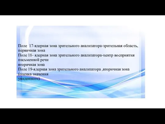 Поле 17-ядерная зона зрительного анализатора-зрительная область, первичная зона Поле 18- ядерная