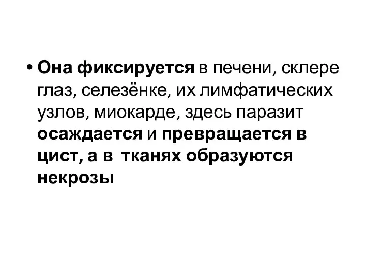 Она фиксируется в печени, склере глаз, селезёнке, их лимфатических узлов, миокарде,