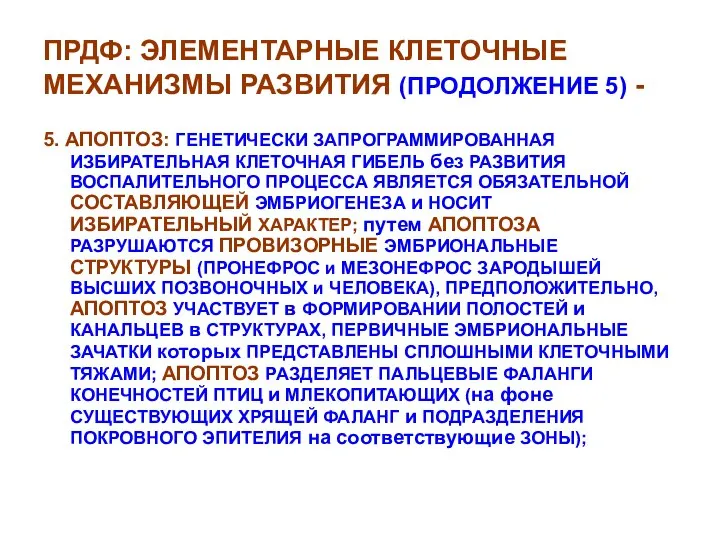 ПРДФ: ЭЛЕМЕНТАРНЫЕ КЛЕТОЧНЫЕ МЕХАНИЗМЫ РАЗВИТИЯ (ПРОДОЛЖЕНИЕ 5) - 5. АПОПТОЗ: ГЕНЕТИЧЕСКИ