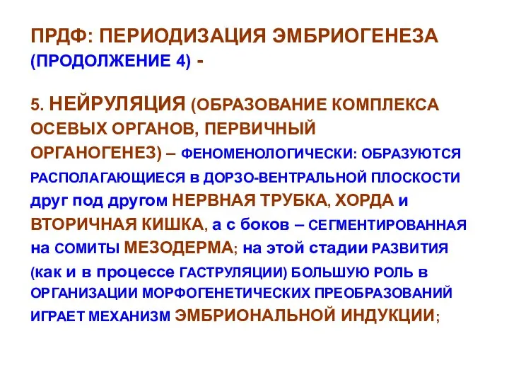 ПРДФ: ПЕРИОДИЗАЦИЯ ЭМБРИОГЕНЕЗА (ПРОДОЛЖЕНИЕ 4) - 5. НЕЙРУЛЯЦИЯ (ОБРАЗОВАНИЕ КОМПЛЕКСА ОСЕВЫХ