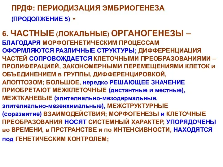 ПРДФ: ПЕРИОДИЗАЦИЯ ЭМБРИОГЕНЕЗА (ПРОДОЛЖЕНИЕ 5) - 6. ЧАСТНЫЕ (ЛОКАЛЬНЫЕ) ОРГАНОГЕНЕЗЫ –