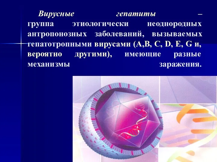 Вирусные гепатиты – группа этиологически неоднородных антропонозных заболеваний, вызываемых гепатотропными вирусами