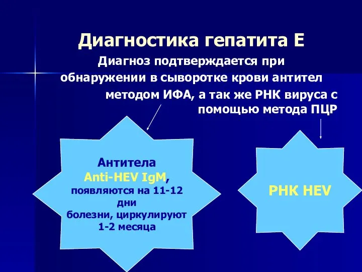 Диагностика гепатита Е Диагноз подтверждается при обнаружении в сыворотке крови антител