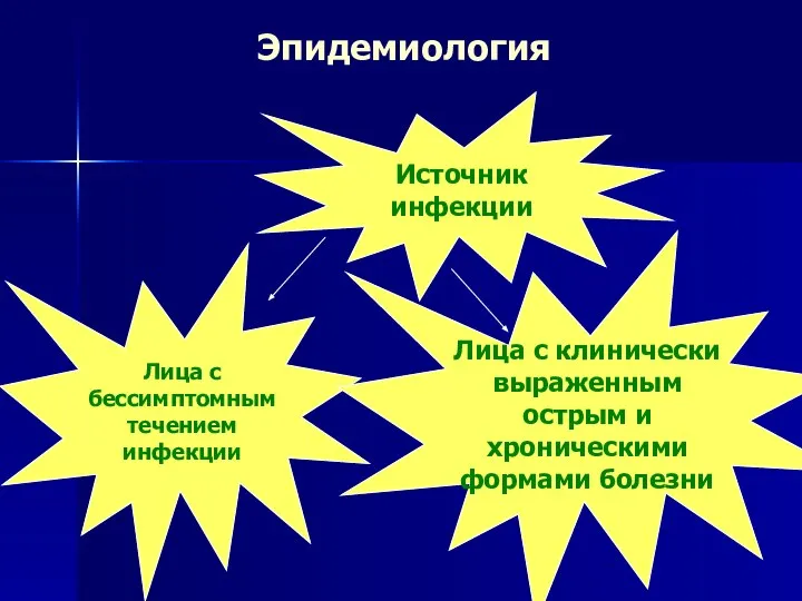 Эпидемиология Источник инфекции Лица с бессимптомным течением инфекции Лица с клинически